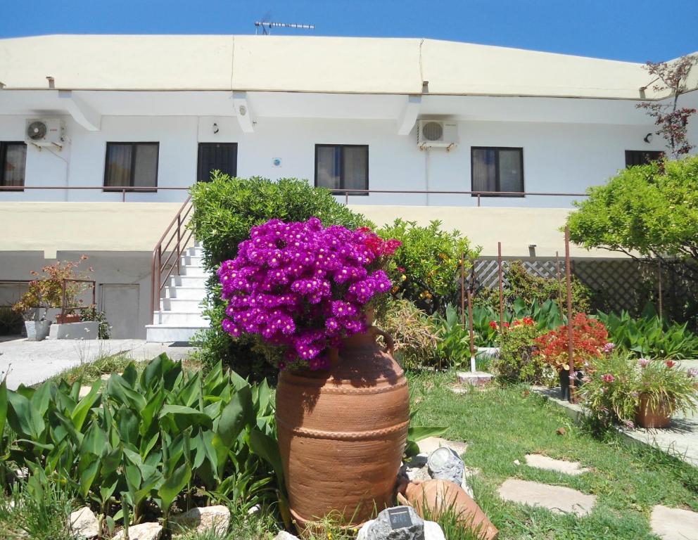 Evi Apartments And Studios Theológos Rom bilde