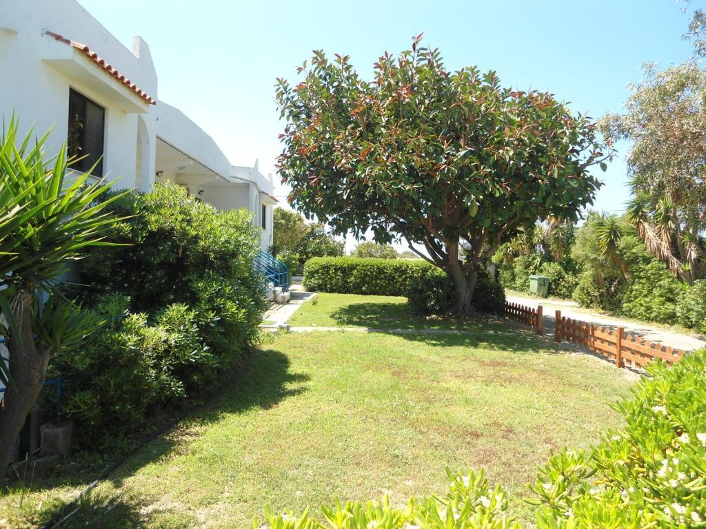 Evi Apartments And Studios Theológos Rom bilde