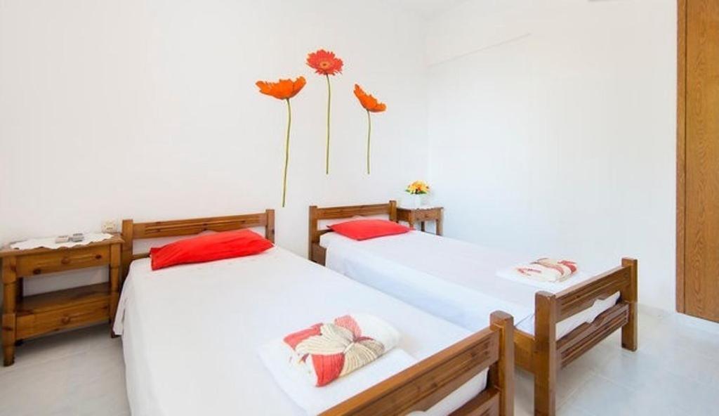 Evi Apartments And Studios Theológos Rom bilde