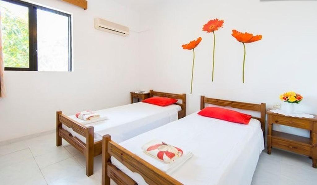 Evi Apartments And Studios Theológos Rom bilde